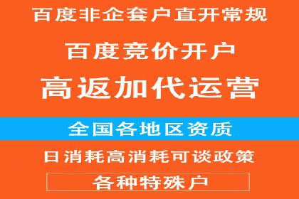 百度竞价代运营的长期效益与价值探讨
